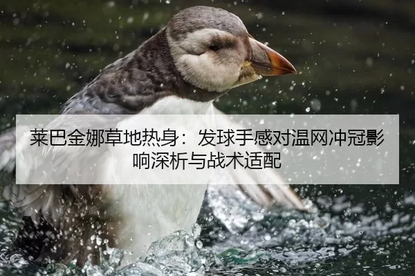 莱巴金娜草地热身：发球手感对温网冲冠影响深析与战术适配