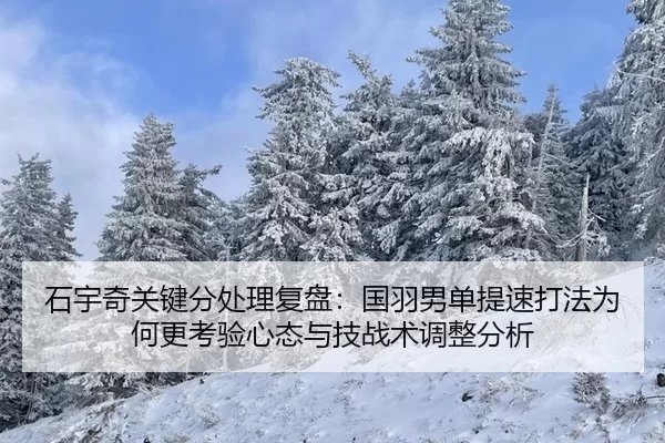 shi-yu-qi-guan-jian-fen-chu-li-fu-pan-guo-yu-nan-dan-ti-su-da-fa-wei-he-geng-kao-yan-xin-tai-yu-ji-zhan-shu-tiao-zheng-2-270.jpg
